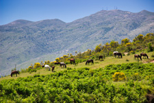 Albania-Central-Albania Family Stay & Clinic